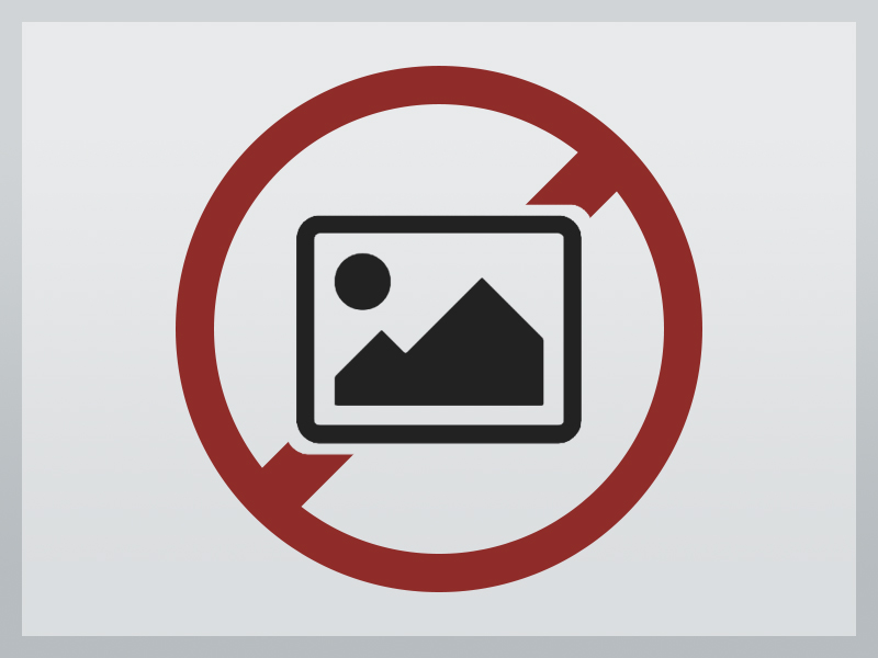 VINICIUS ALVES CAMARGOS